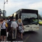 autobuz stb