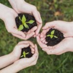 Ce amenzi dă Garda de mediu pentru lipsa autorizației de mediu