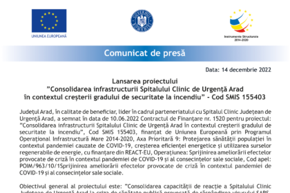 comunicat Arad consolidarea 14 dec -1