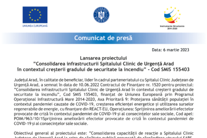 comunicat Arad consolidarea 6 martie -1