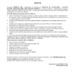 anunt-achizitie-servicii-consiliere-it-timiluc-srl-1-1