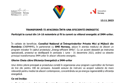 Energy efficiency SMES-Articol 1