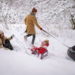 Iarna-familie-zapada