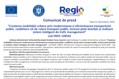 intermediar 21-1