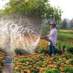 Pompa de apă submersibilă vs. de suprafață – principalele diferențe