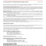 comunicat de presa IPA Romania Serbia