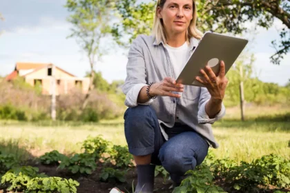 metode-de-a-creste-profitabilitatea-culturilor