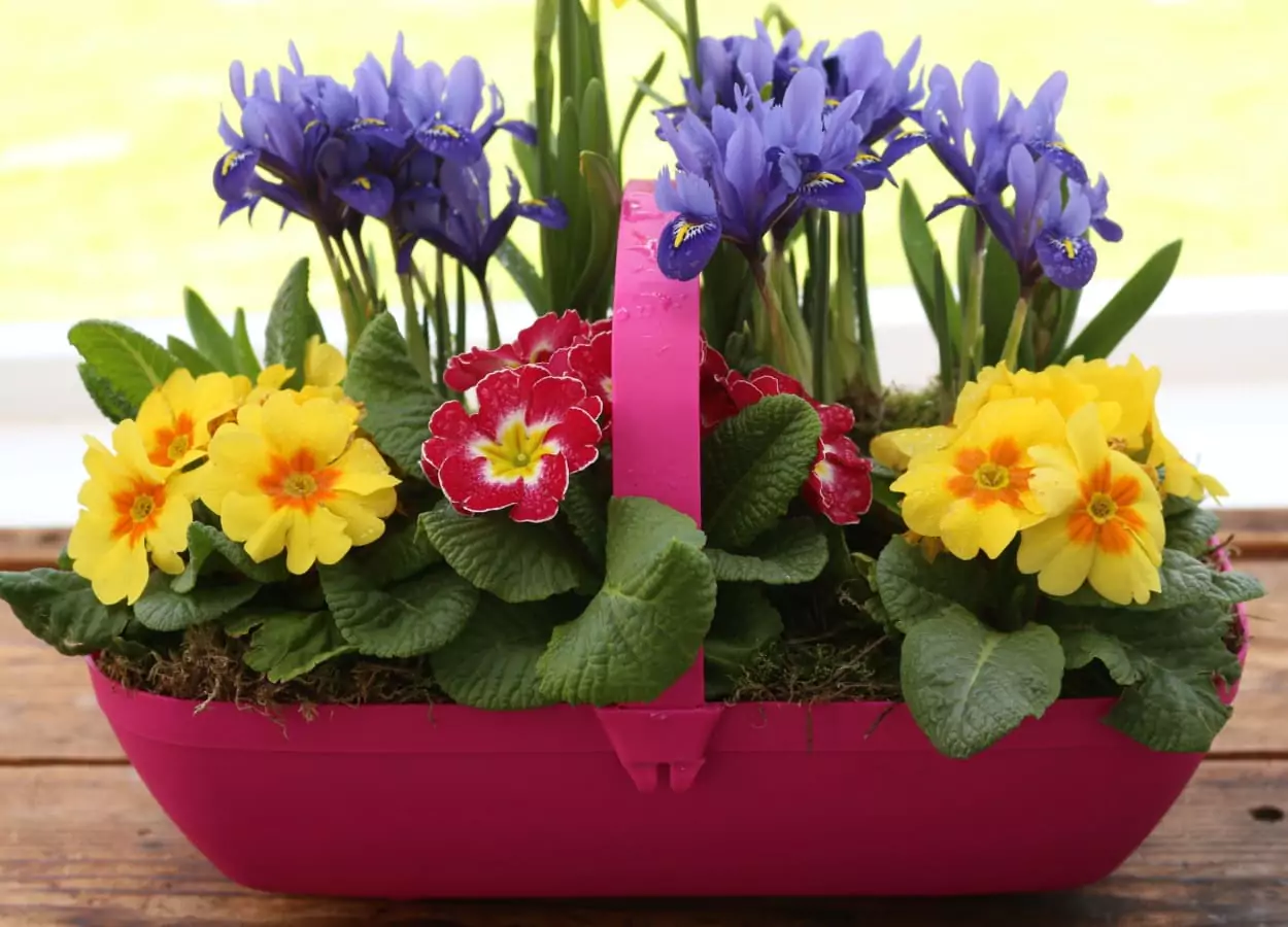 aranjament floral de primavara