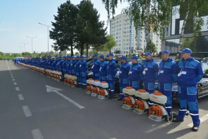 dezinsectie-deratizare