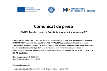anunt-de-presa-cameron-art-event-srl