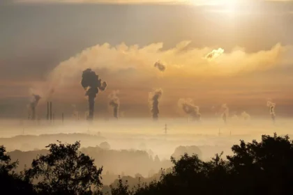 amprenta-de-carbon-a-companiei