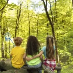 ateliere-stiintifice-tabara-de-vara