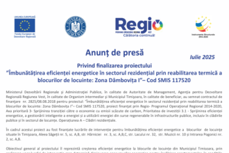 comunicat-final-timisoara-zona-dambovita