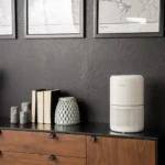 cum-sa-creezi-un-mediu-sanatos-in-casa-pentru-intreaga-familie-cu-ajutorul-unui-purificator-de-aer