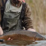 cele-mai-frumoase-ape-pentru-pescuit-la-crap-in-delta