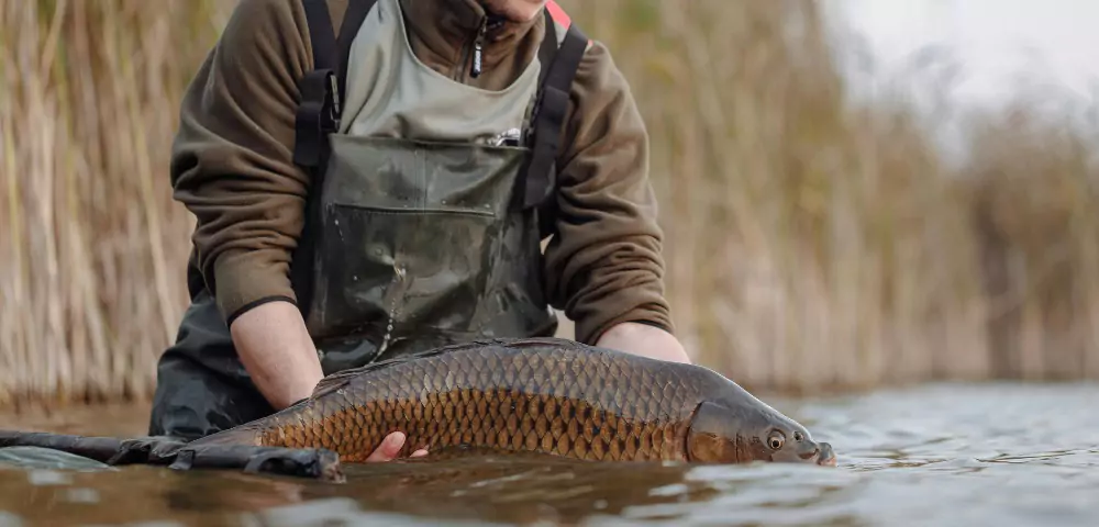 cele-mai-frumoase-ape-pentru-pescuit-la-crap-in-delta