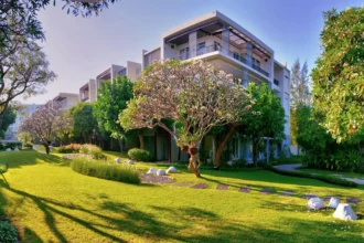 De ce spațiul verde contează chiar și la bloc cum îți schimbi viața cu un colț de natură