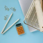 Pregetiri anul nou scolar