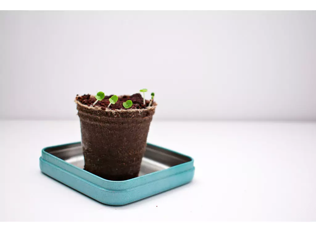 Principiile economiei circulare Ghid pentru implementare eficienta