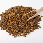 cum-sa-introduci-treptat-hrana-uscata-in-dieta-cainelui