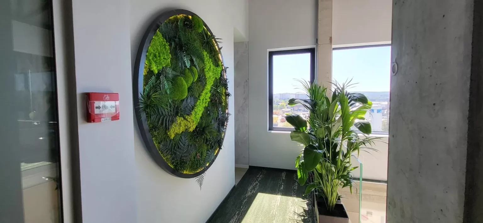 cum-amenajezi-o-grdin-vertical-n-spaii-mici-6903996e72511