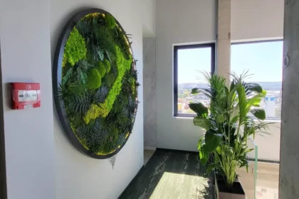 cum-amenajezi-o-grdin-vertical-n-spaii-mici-6903996e72511