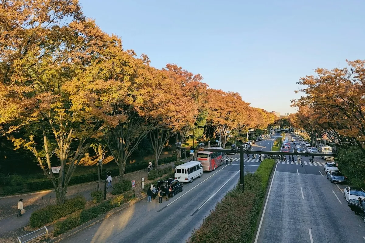 cum-sa-te-pregatesti-pentru-o-plecare-in-afara-tarii-inainte-de-sarbatori-fara-stres-si-fara-surprize