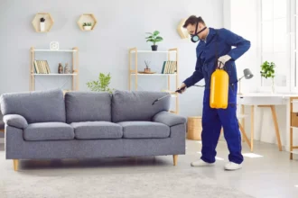 insecticid-plonie-alegerea-produsului-i-aplicarea-corect