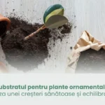 substratul-pentru-plante-ornamentale-baza-unei-creteri-sntoase-i-echilibrate
