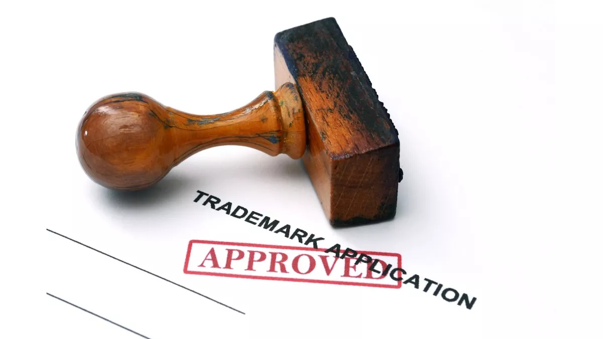 totuldespremarci-inregistrare-marci-2-692624030db85