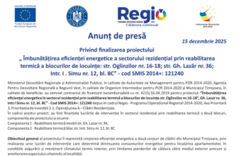 anunt-final-timisoara-121240-online-3-ziletipar-1-693b4b7749298