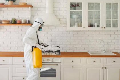 cum-s-previi-infestarea-cu-gndaci-de-buctrie-i-de-ce-s-apelezi-la-un-specialist