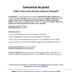 anunt-de-presa-pallegrini