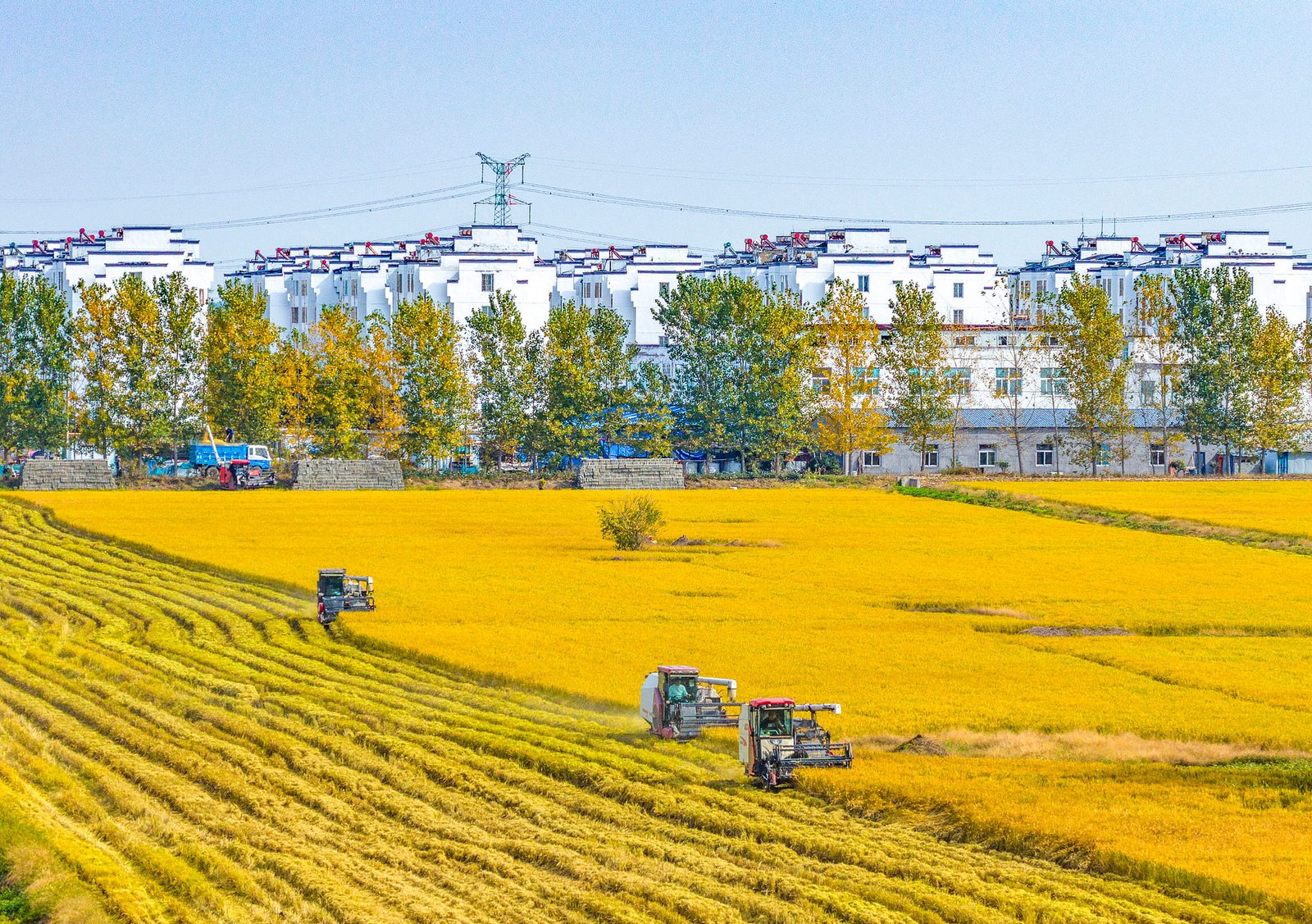 Producția de cereale a Chinei atinge un nou record istoric în 2025