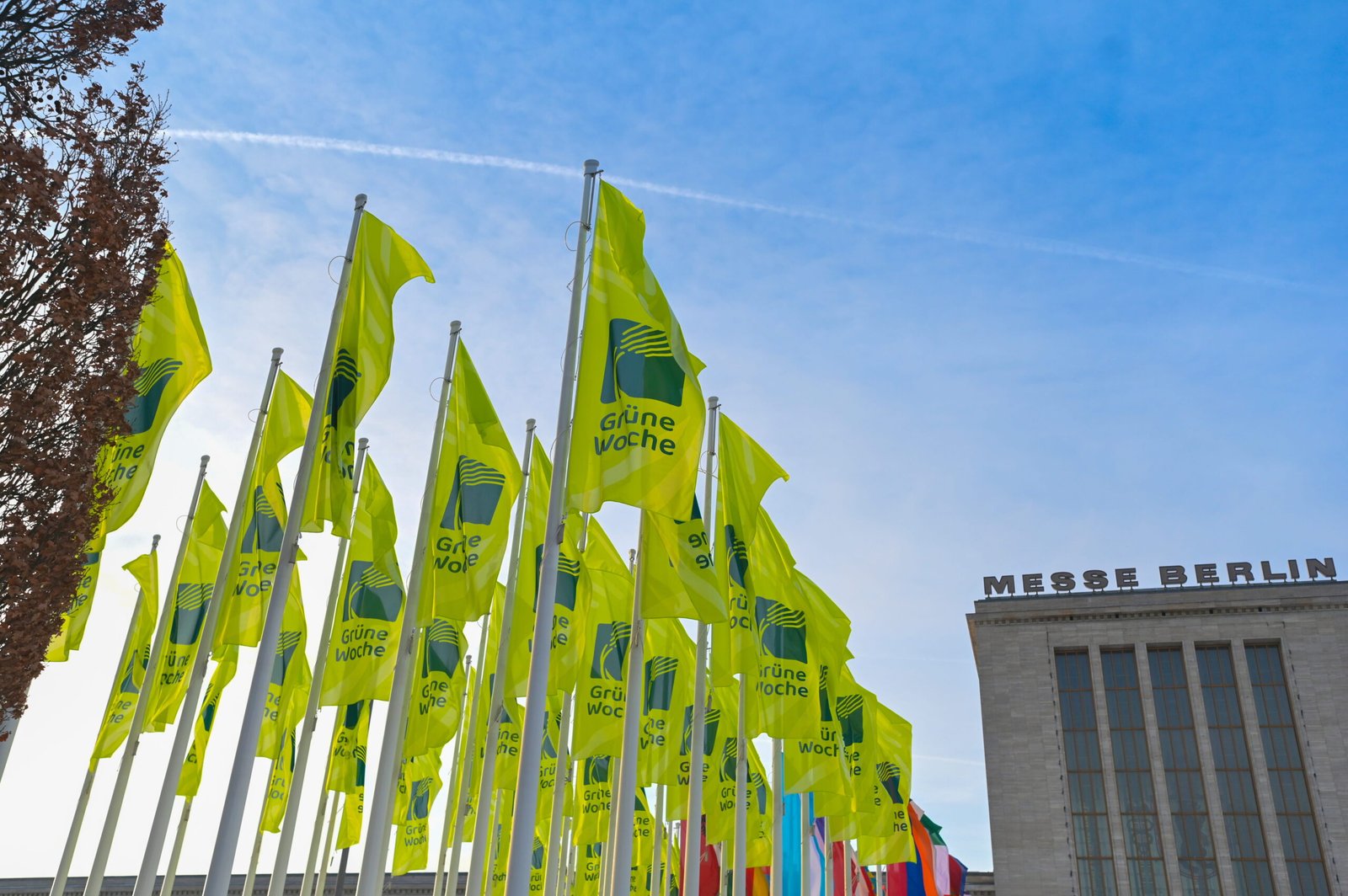 România participă la Expoziția Internațională „Săptămâna Verde 2026” – Grüne Woche, Berlin