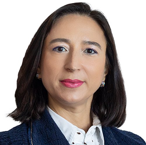 CMS asistă CCE cu privire la vânzarea proiectului fotovoltaic Horia 2 către Renalfa Solarpro Group