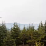 un-2026-mai-aproape-de-natura