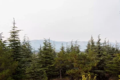 un-2026-mai-aproape-de-natura