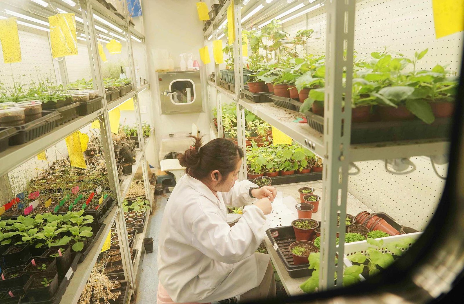 Xi Jinping cere consolidarea cercetării fundamentale și sprijin pentru performanța științifică