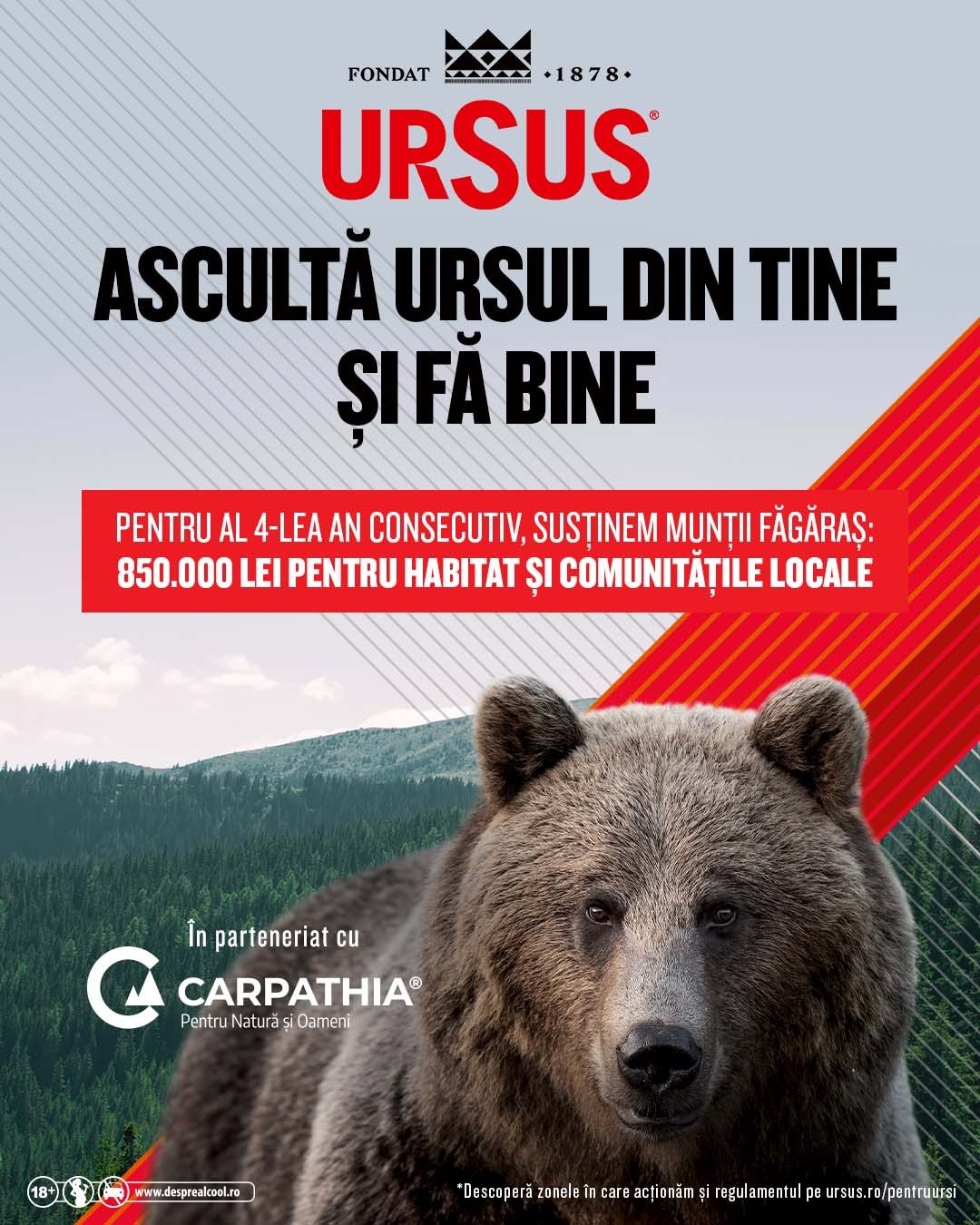 Ursus contribuie cu 850.000 de lei la protejarea habitatului urșilor și a comunităților din zona Munților Făgăraș