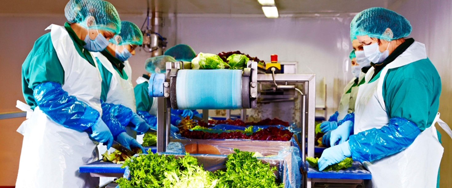 Afacerile Eisberg România s-au majorat cu 7% în 2025