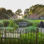 cum-sa-economisesti-apa-si-energie-folosind-o-pompa-submersibila-eficienta