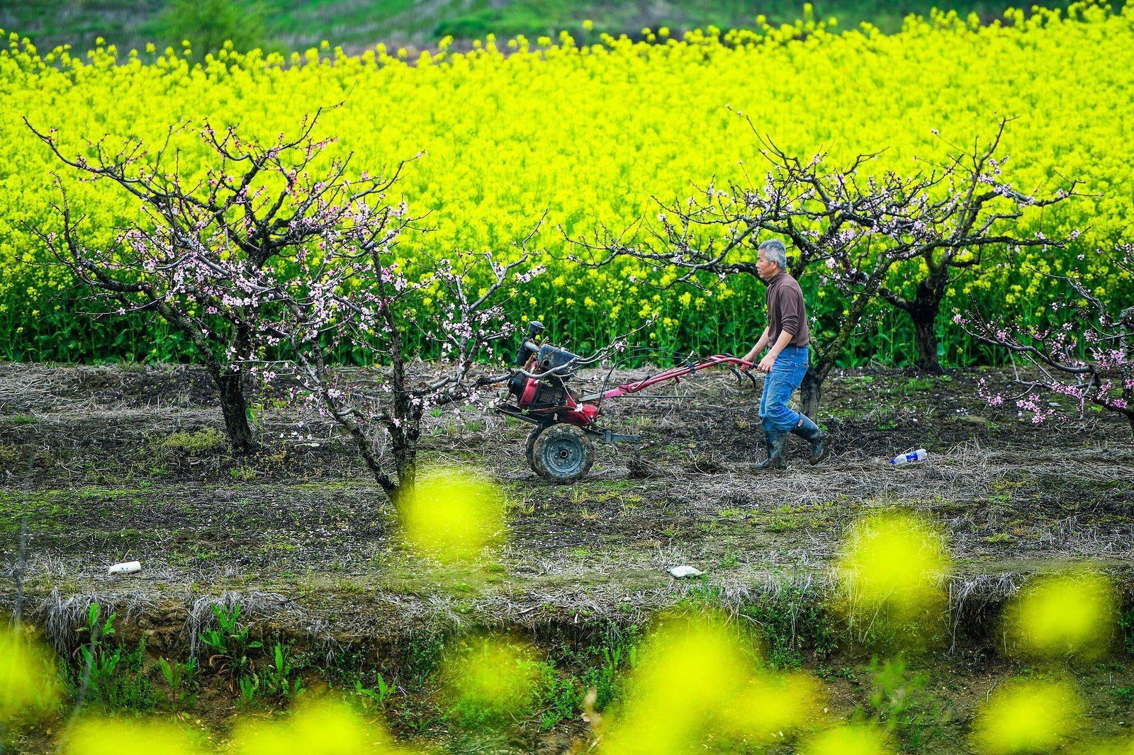 Simpozion la Beijing dedicat lansării cărții despre victoria Chinei în lupta împotriva sărăciei