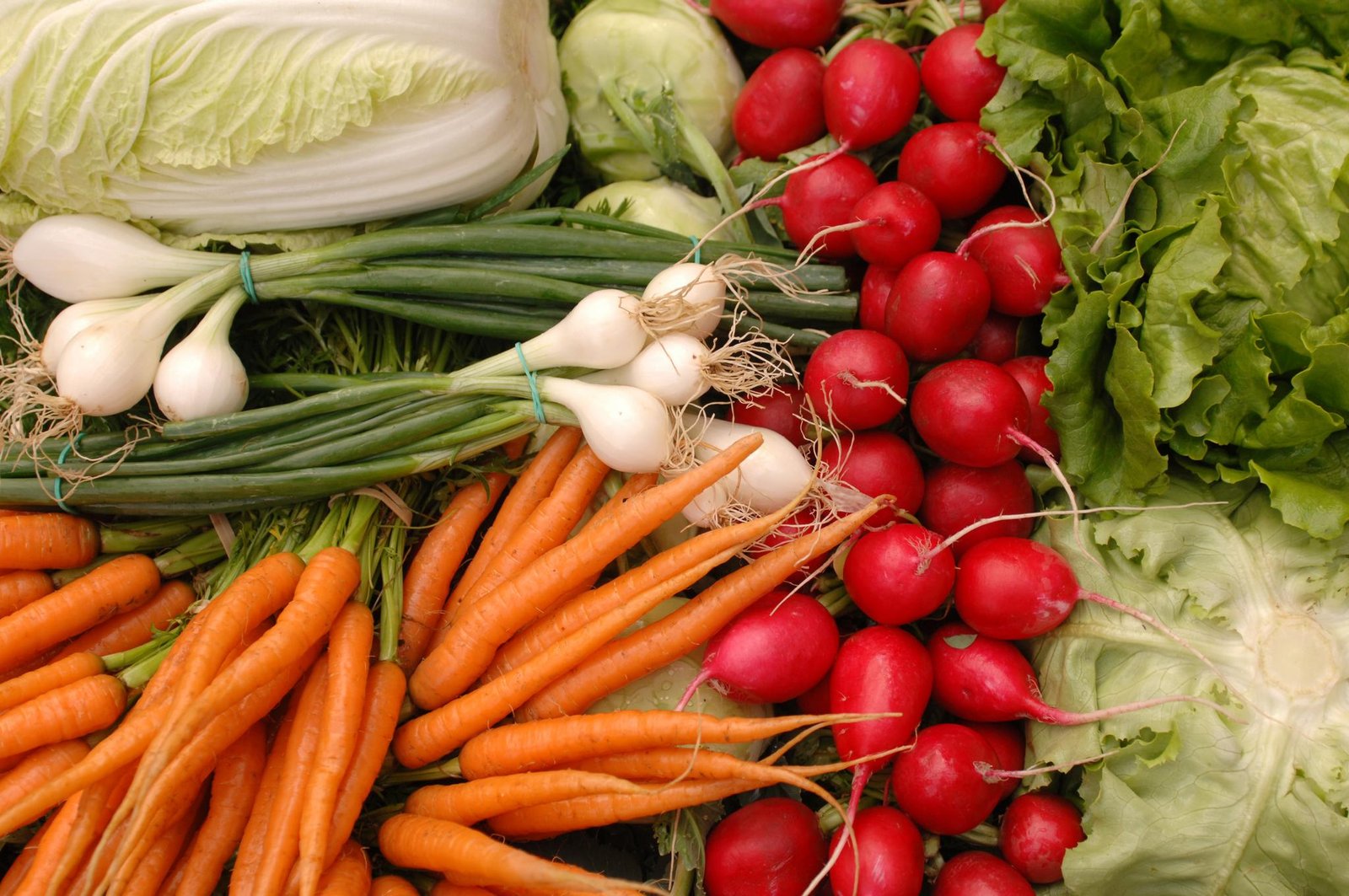 Fermierii români își pot asigura legumele cultivate în câmp, începând din acest an: Agra Asigurări lansează o nouă poliță pentru sectorul legumicol