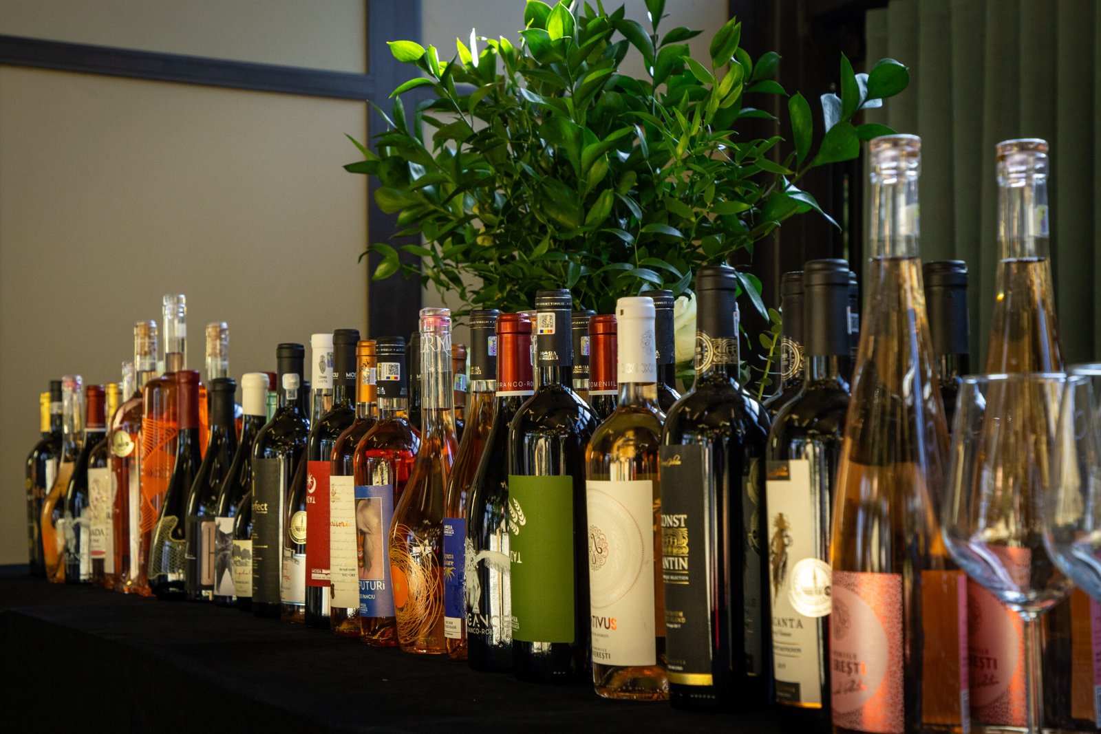 Vinul românesc: între potențial strategic și absența unei politici coerente