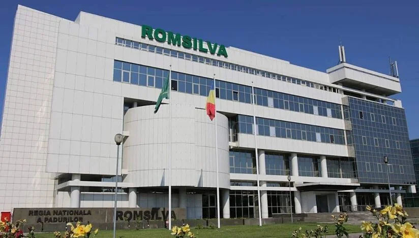 Federația Silva: Nemulțumirile ministrului Mediului, Apelor și Pădurilor sunt ridicole. Selecția și desemnarea noului director general al Romsilva s-au făcut sub îndrumarea și controlul ministerului