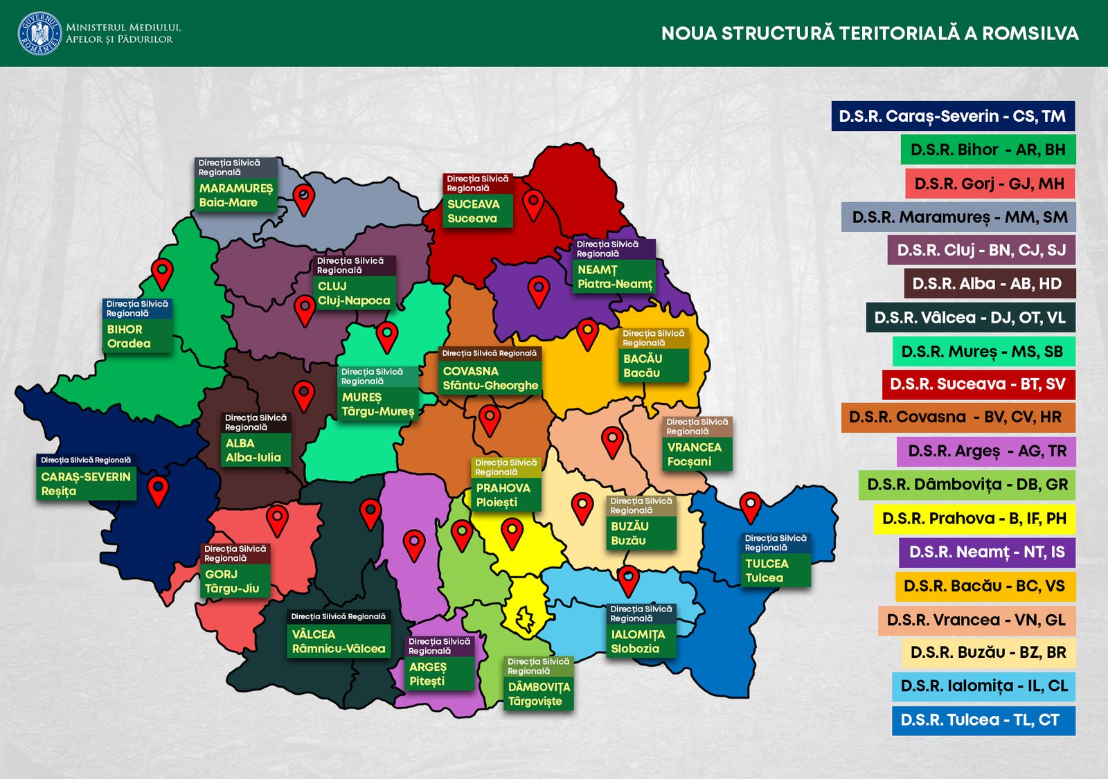 Diana Buzoianu: “Reforma Romsilva e o promisiune făcută public și livrată după luni de zile de muncă. Guvernul tocmai a aprobat Hotărârea privind reorganizarea Romsilva”