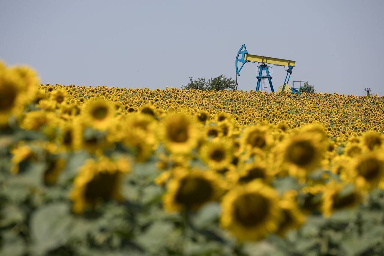 Fond de solidaritate alimentat din taxe noi puse companiilor petroliere – ultima idee a Guvernului