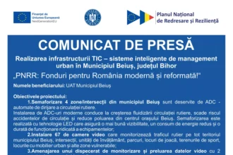 beius-tic-comunicat-de-presa-online