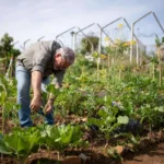 cum-sa-iti-usurezi-munca-in-gradina-cu-un-motoburghiu-pe-benzina